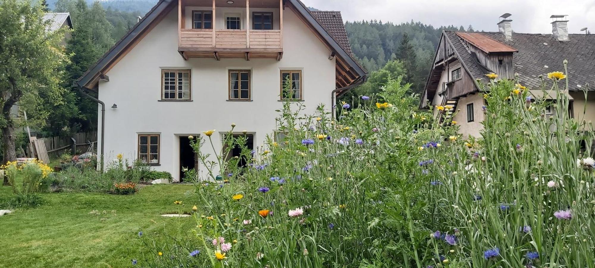 House Leska Daire Kranjska Gora Dış mekan fotoğraf
