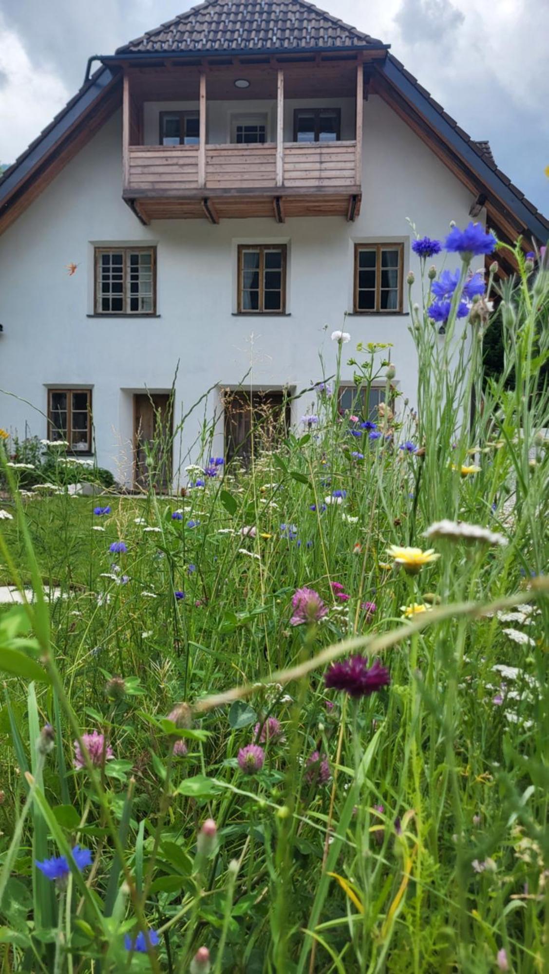 House Leska Daire Kranjska Gora Dış mekan fotoğraf
